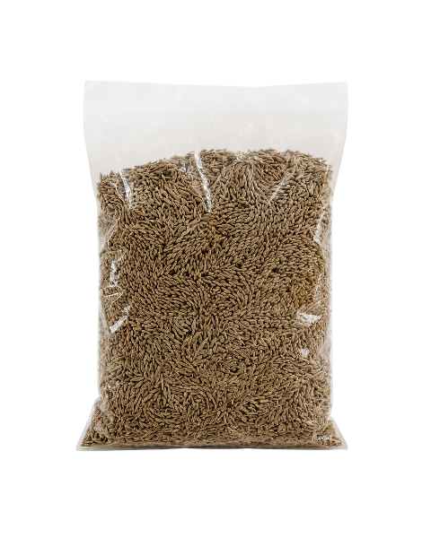 Cumin Seed