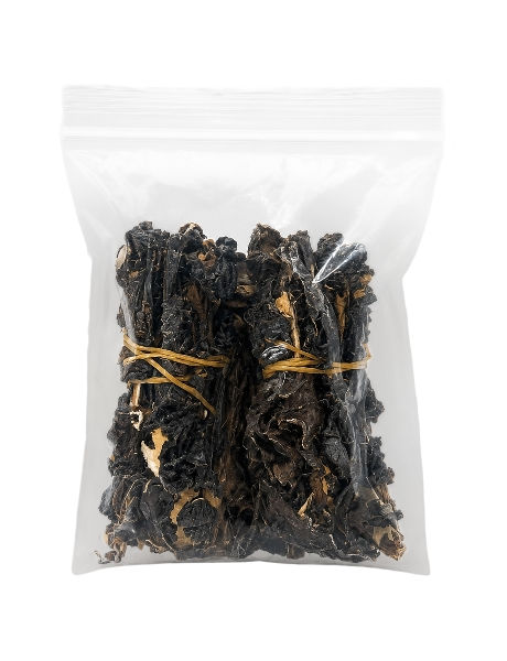 Dried Periwinkle Sea Snail