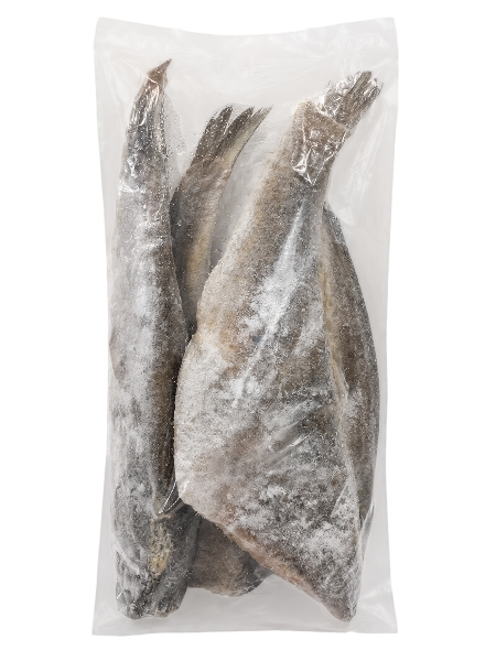Frozen Croaker Fish